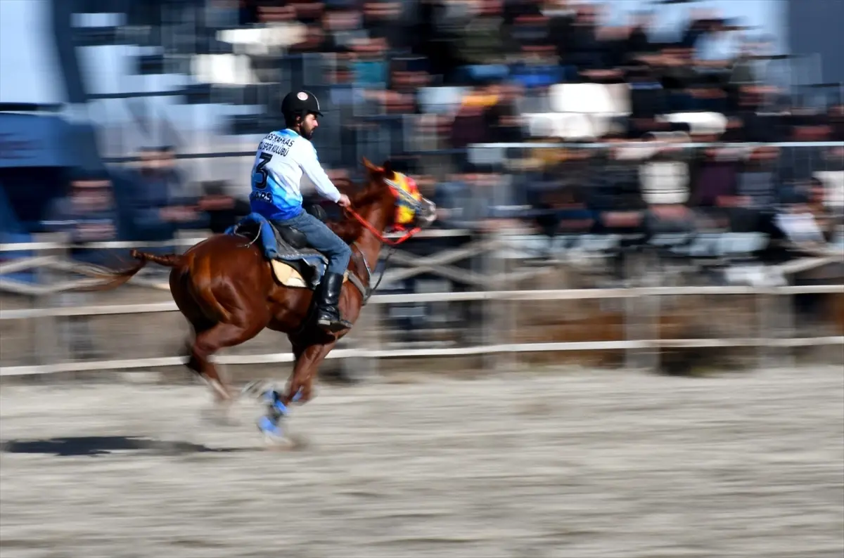 Atlı Sporlar Coşkusu Selim’de Yaşatıldı