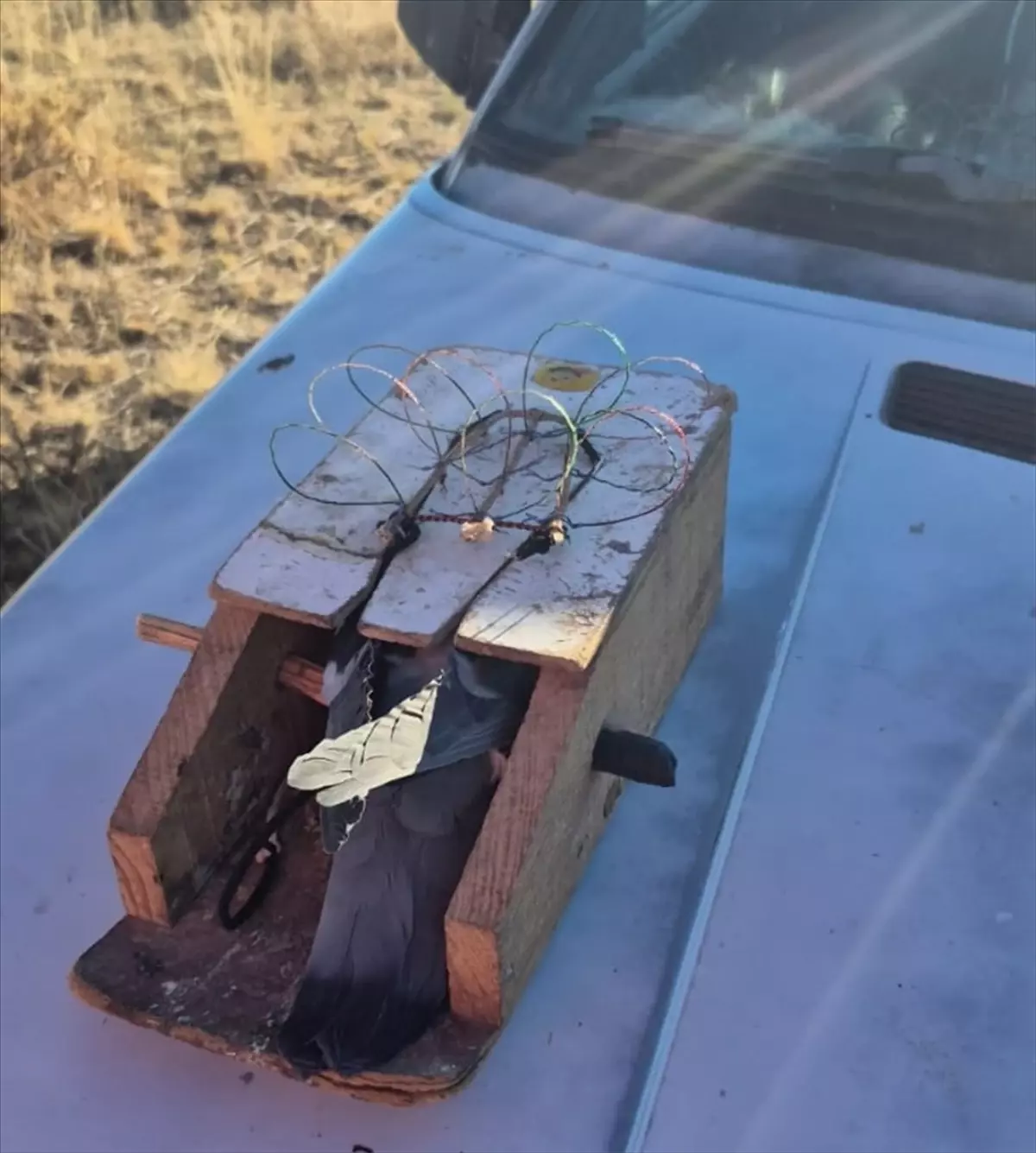 Kars’ta Kaçak Avcıya Rekor Ceza