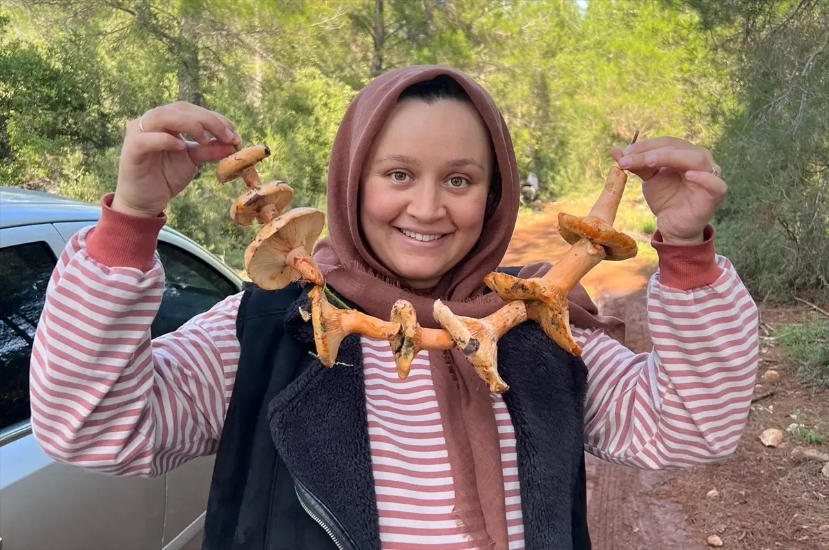 Kaş’ta Mantar Seferberliği