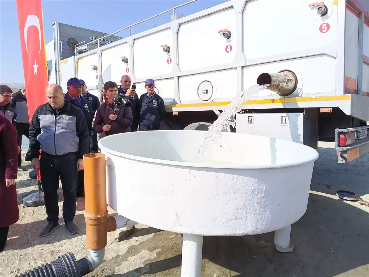 Elazığ’dan Nahçıvan’a Sazan Yavrusu Gönderildi