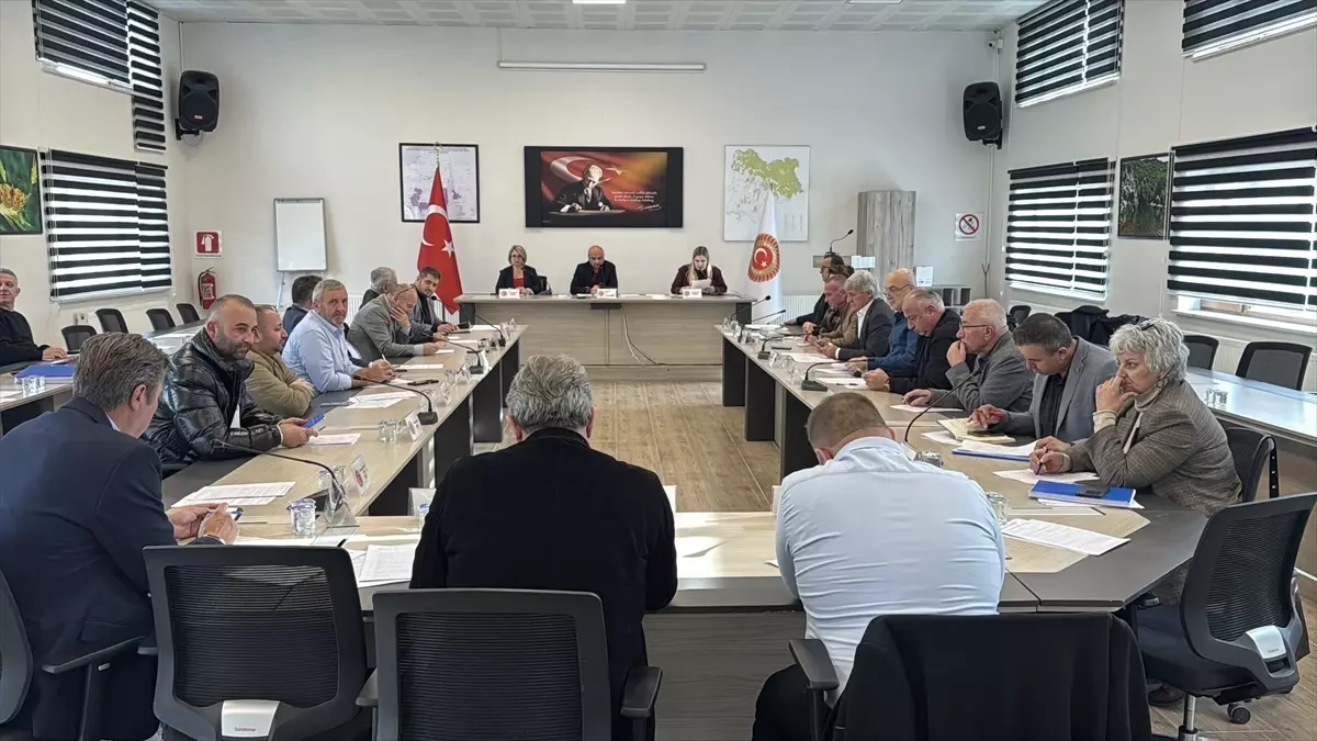 Kırklareli’de Dozer Alımına Ödenek Onayı