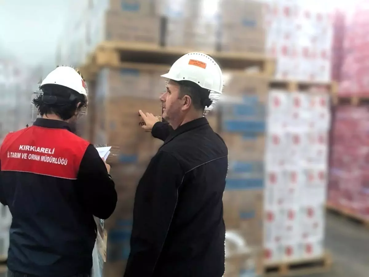 İhracat Kontrolleri Devam Ediyor