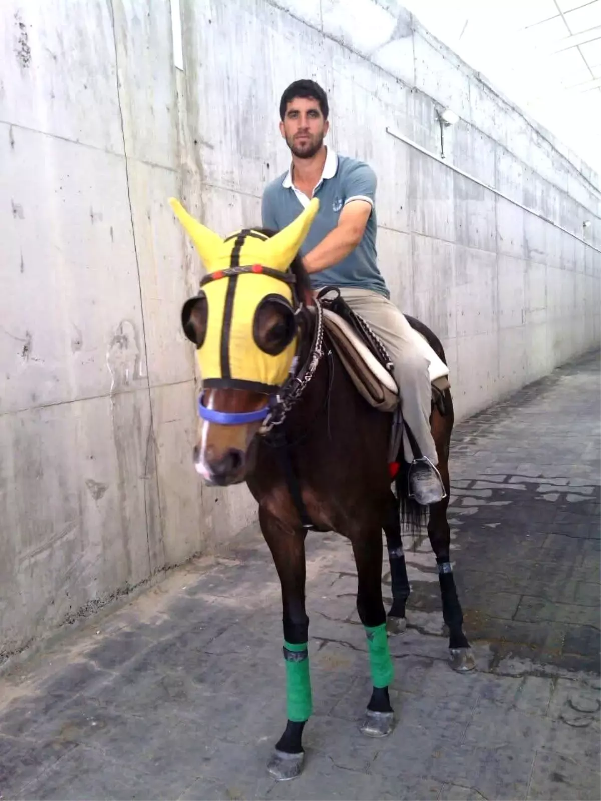 Adana’da Kırmızı Işıkta Kaza: Seyis Hayatını Kaybetti