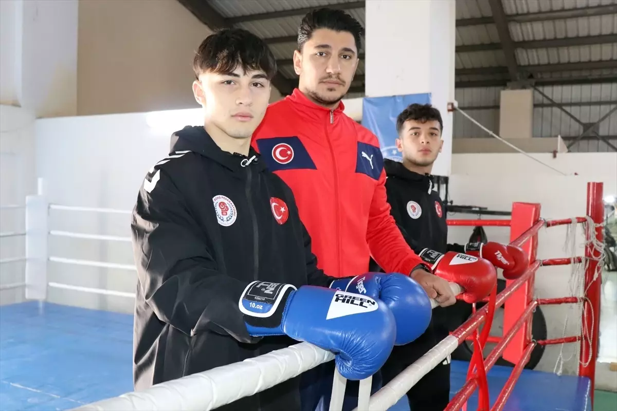 Ünye’nin Genç Bokscuları Avrupa Şampiyonası İçin Hazırlanıyor