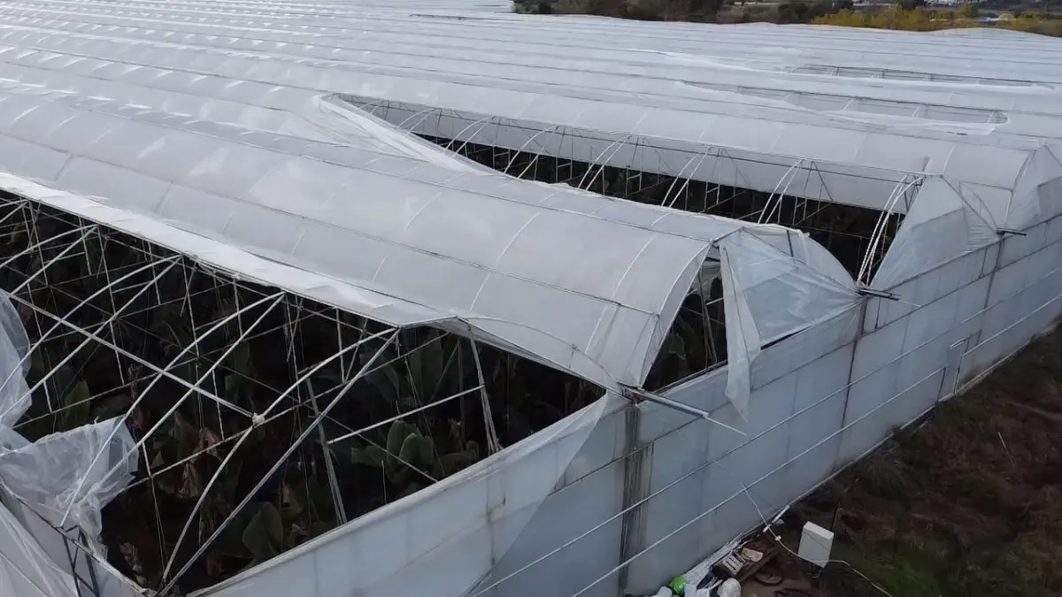 Manavgat’ta Şiddetli Hortum 4 Serayı Vurup 10 Milyon TL’lik Zarar Verdİ