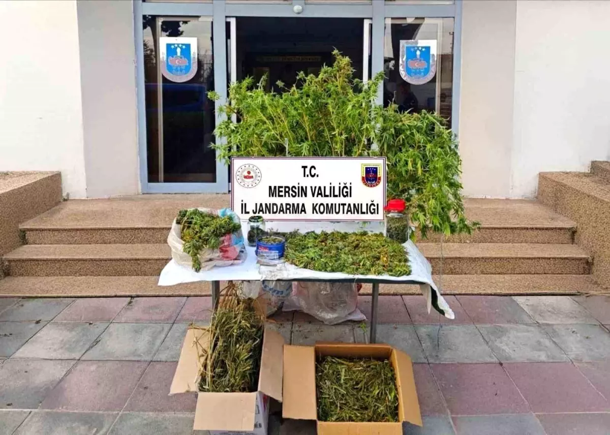 Mersin’de Uyuşturucu Operasyonu: Şüpheli Tutuklandı