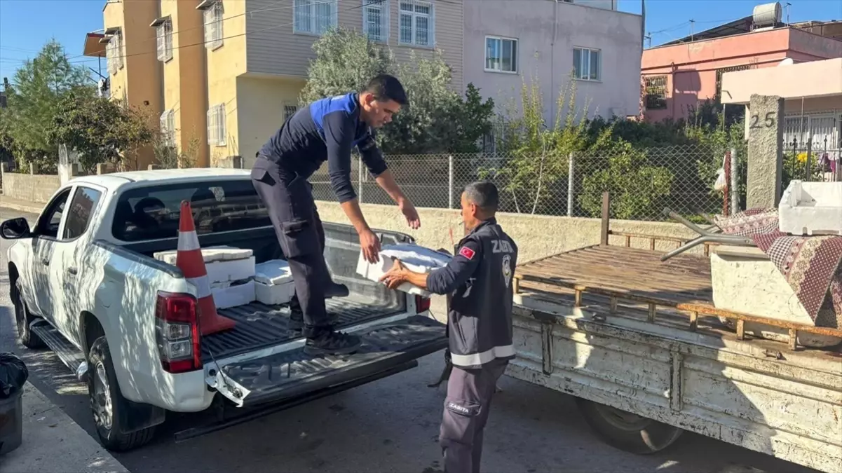 Tarsus’ta Sağlıksız Balık Satışı İmhayı Getirdi