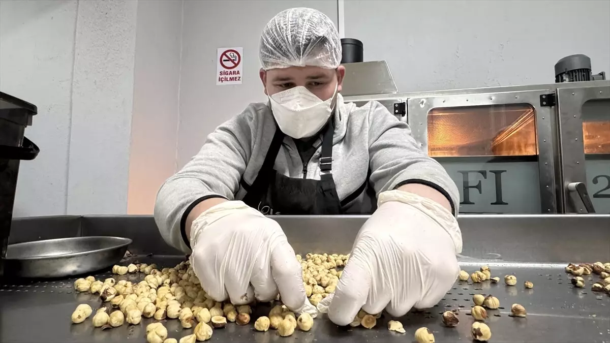 Mimarlığı Bırakıp Fındık Tüccarlığına Döndü