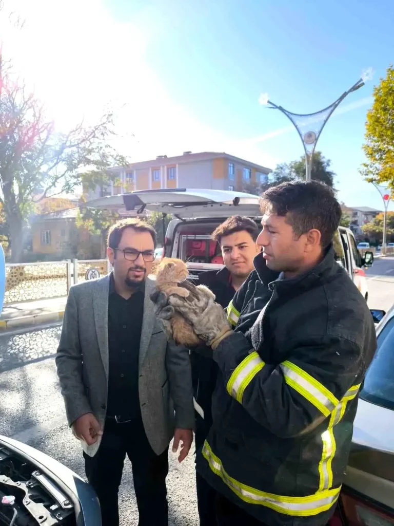 Yavru Kedi İtfaiye Ekiplerince Kurtarıldı