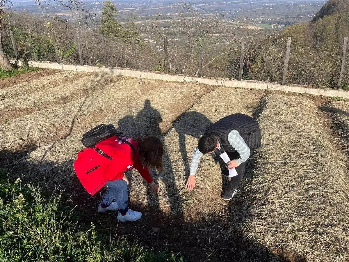 Samsun’da Salep Bahçeleri Denetlendi