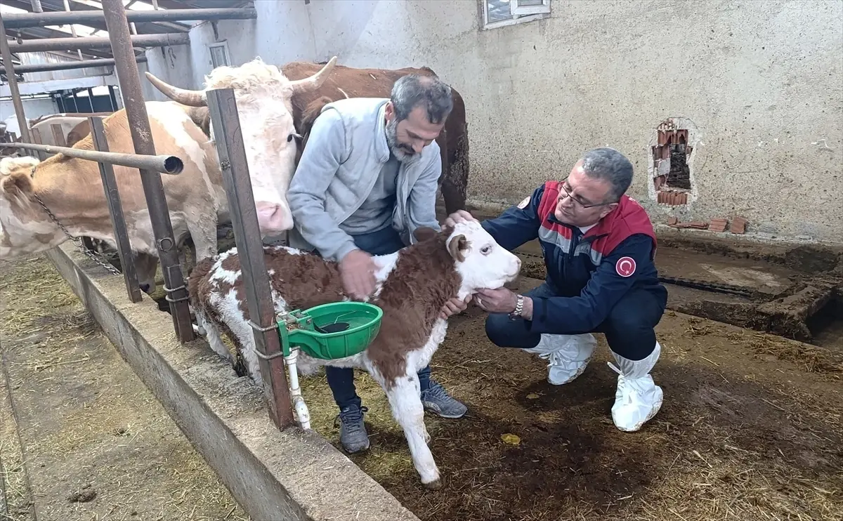 Besicilerle Buluşma