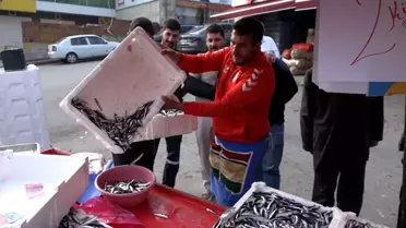 Samsunspor’un Başarısına Özel Balık İndirimi