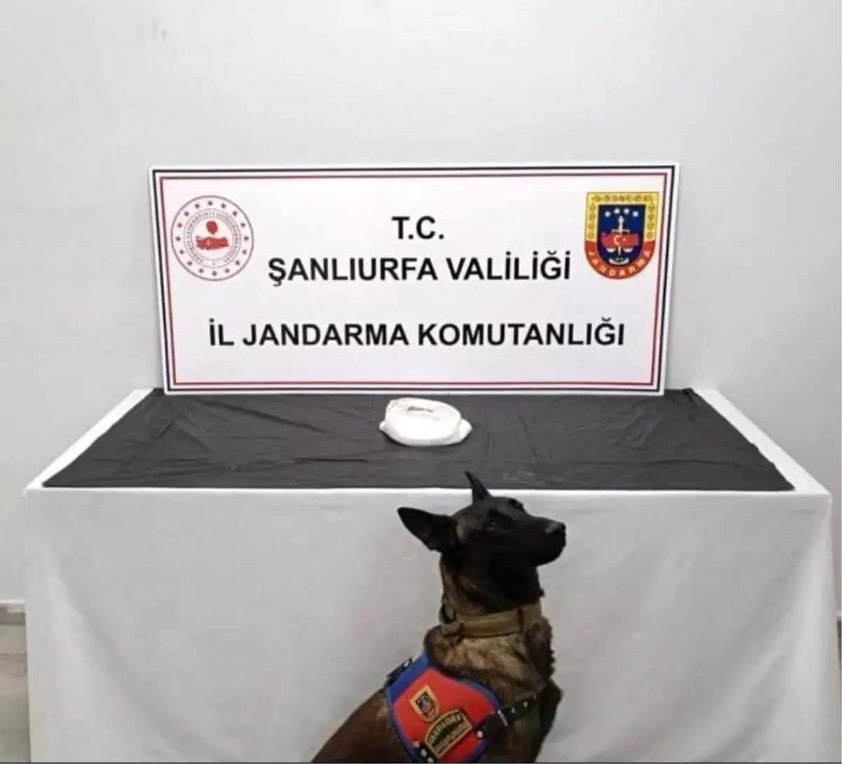 Şanlıurfa’da Narkotik Operasyonu: 500 Gram Metamfetamin Ele Geçirildi, 2 Şahıs Gözaltına Alındı