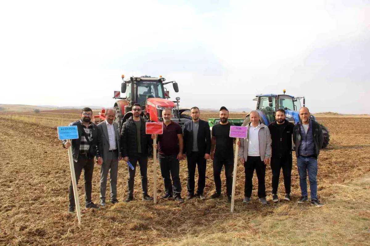 Sivas’ın Zara İlçesinde 5 Yeni Ekmeklik Buğday Çeşidi İlk Kez Ekildi