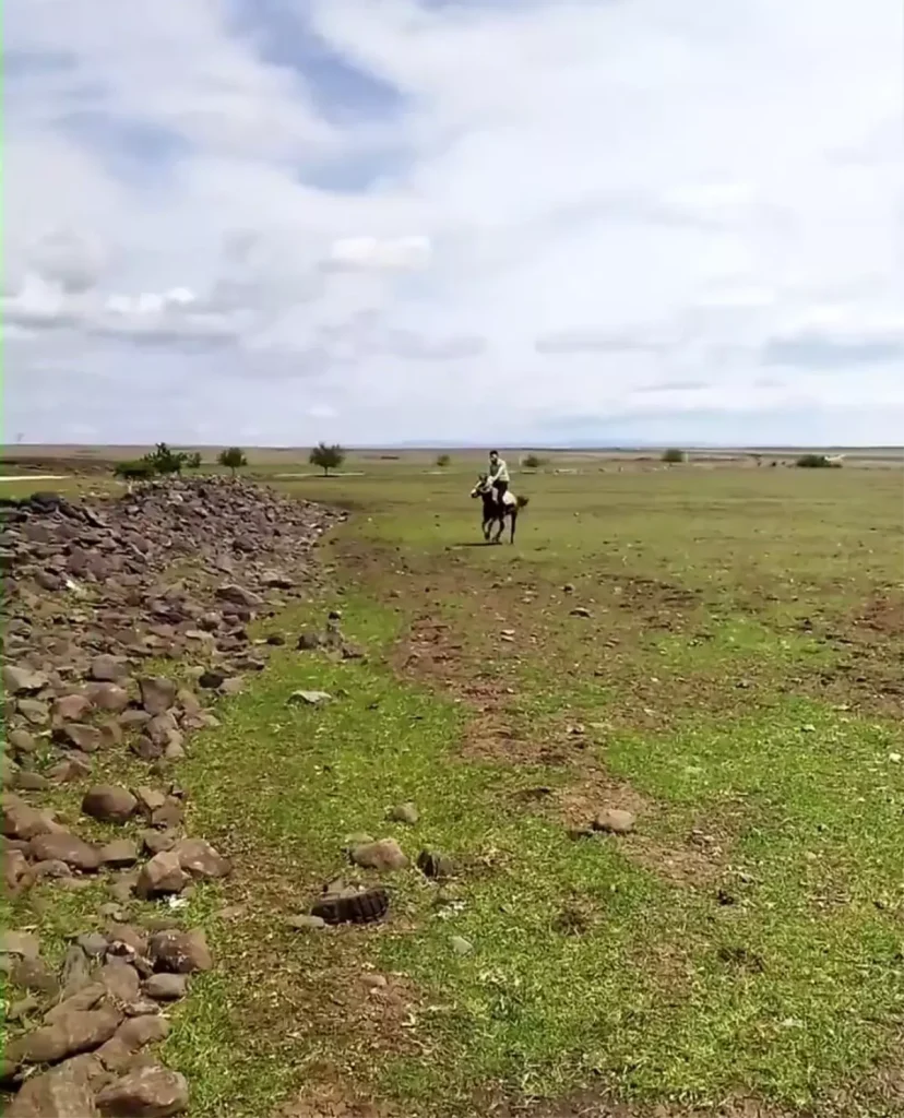 Şanlıurfa’da İki İlginç Olay Kamerada