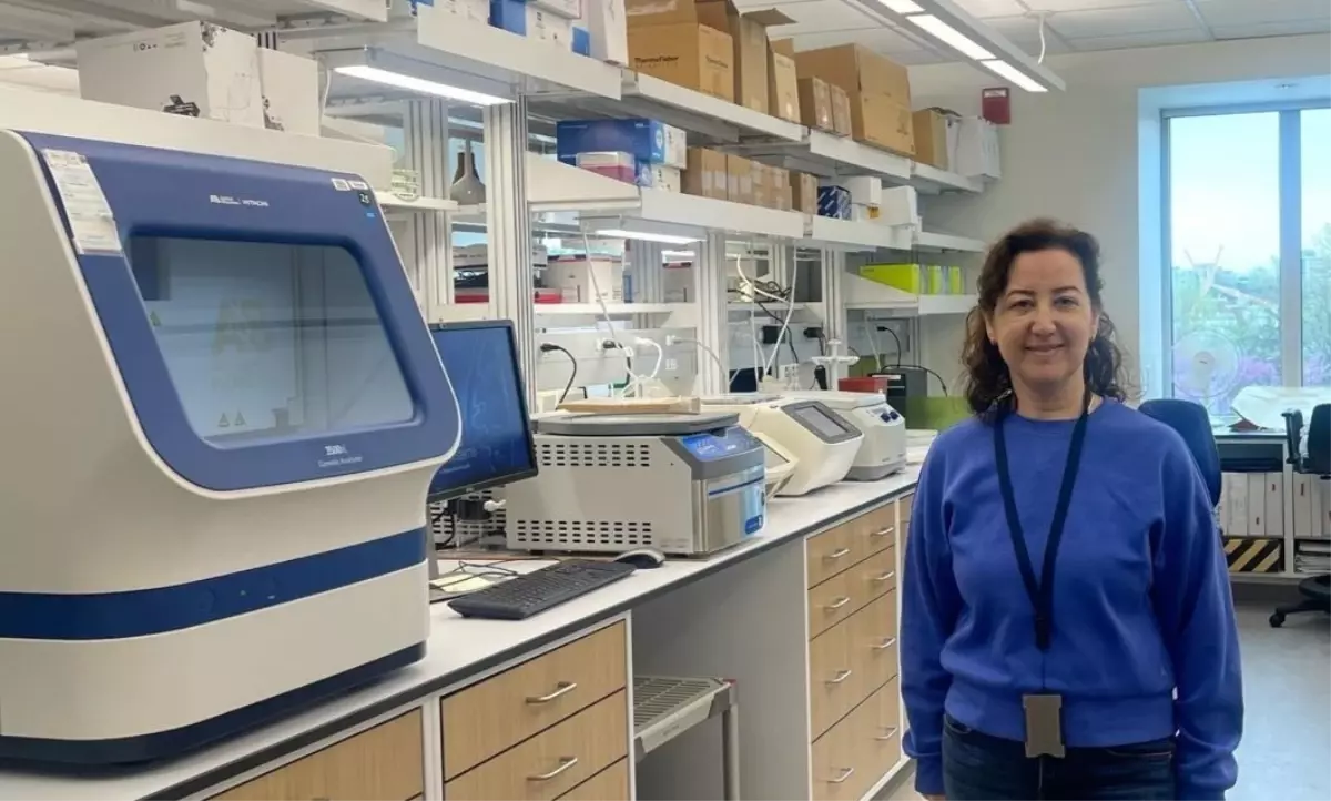 Talasemi Hastalarında Kan Nakli Güvenliği Yeni Moleküler Tekniklerle Artırıldı