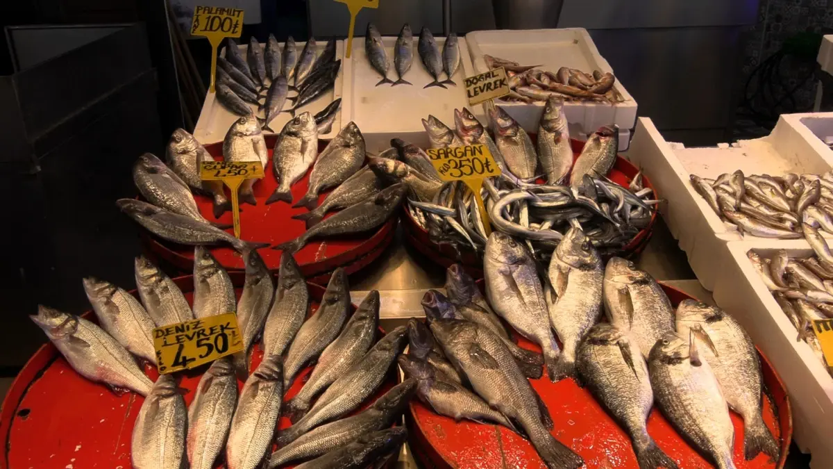 Trabzon’da Hamsi Sezonu Başladı