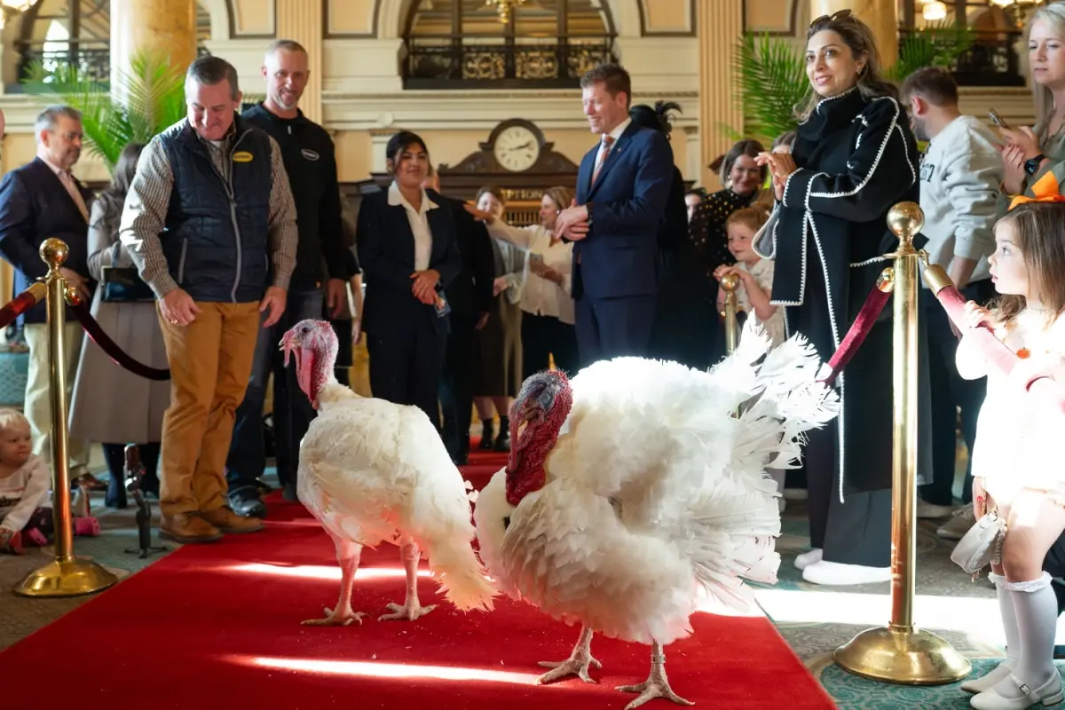 Trump, Şükran Günü’nde Hindileri Affetti