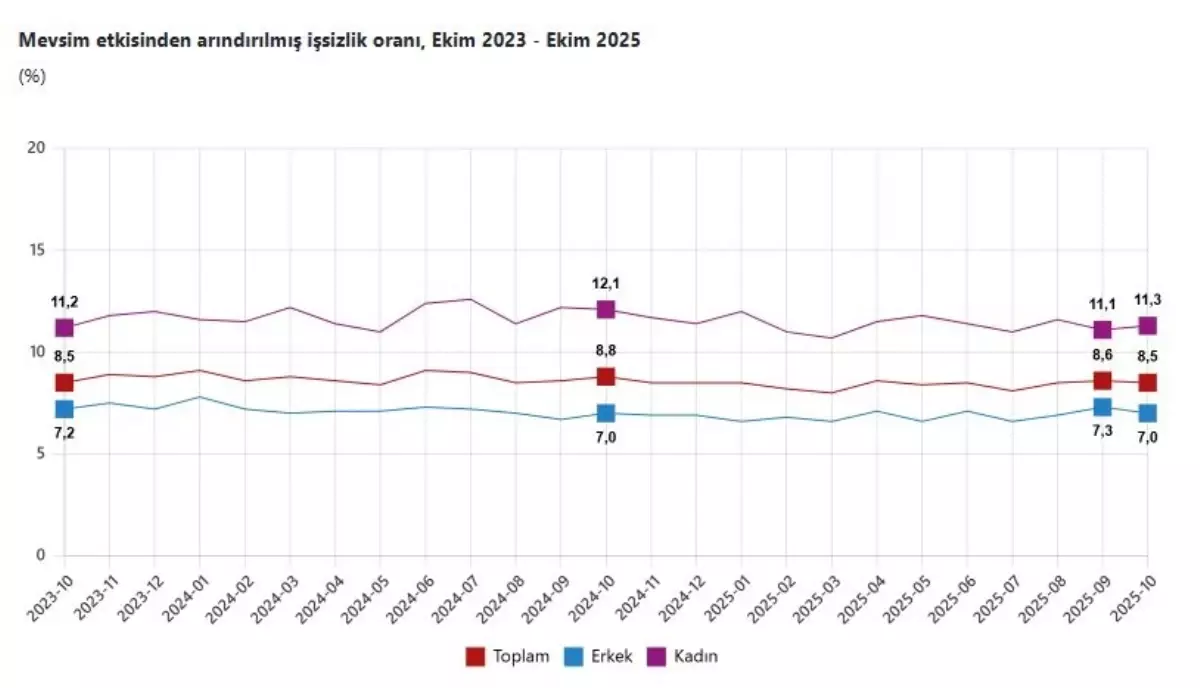 Ekim 2025 İşsizlik Oranı Yüzde 8,5: Gençlerde Artış ve Kadınlarda Eşitsizlik