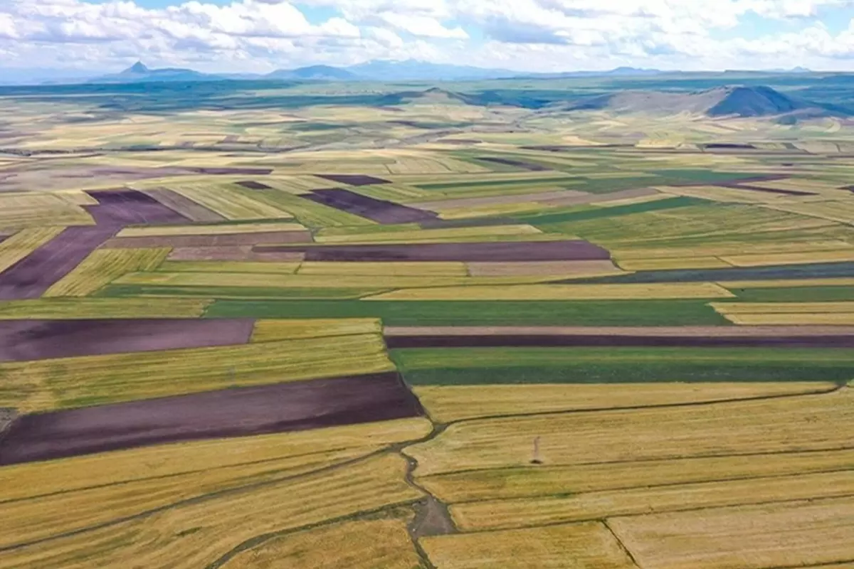 Arsa Tapu Değeri En Çok Artan 10 İl Belli Oldu