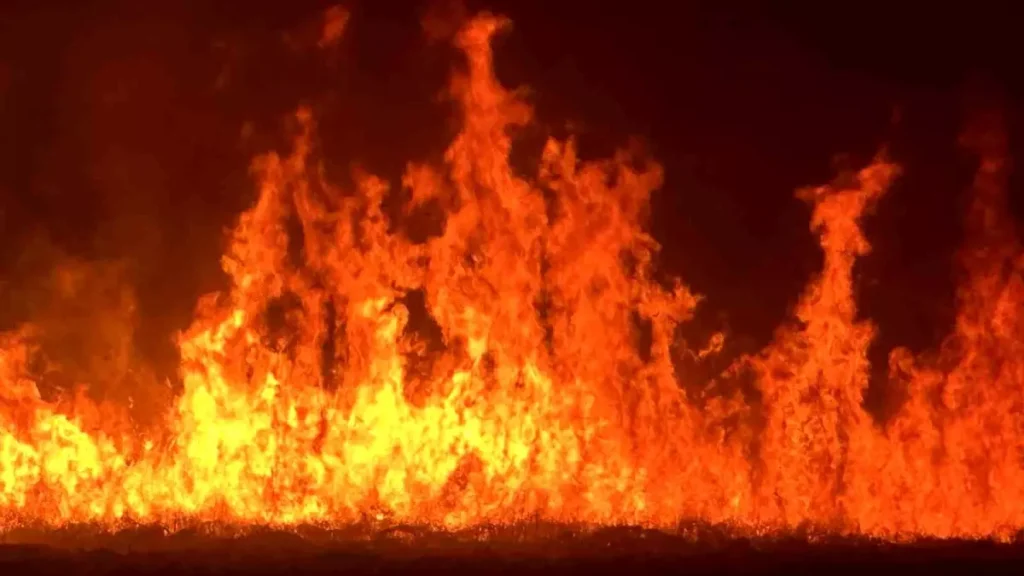 Yüksekova’da Nehil Sazlığı Yangını Yerleşimleri Tehdit Ediyor