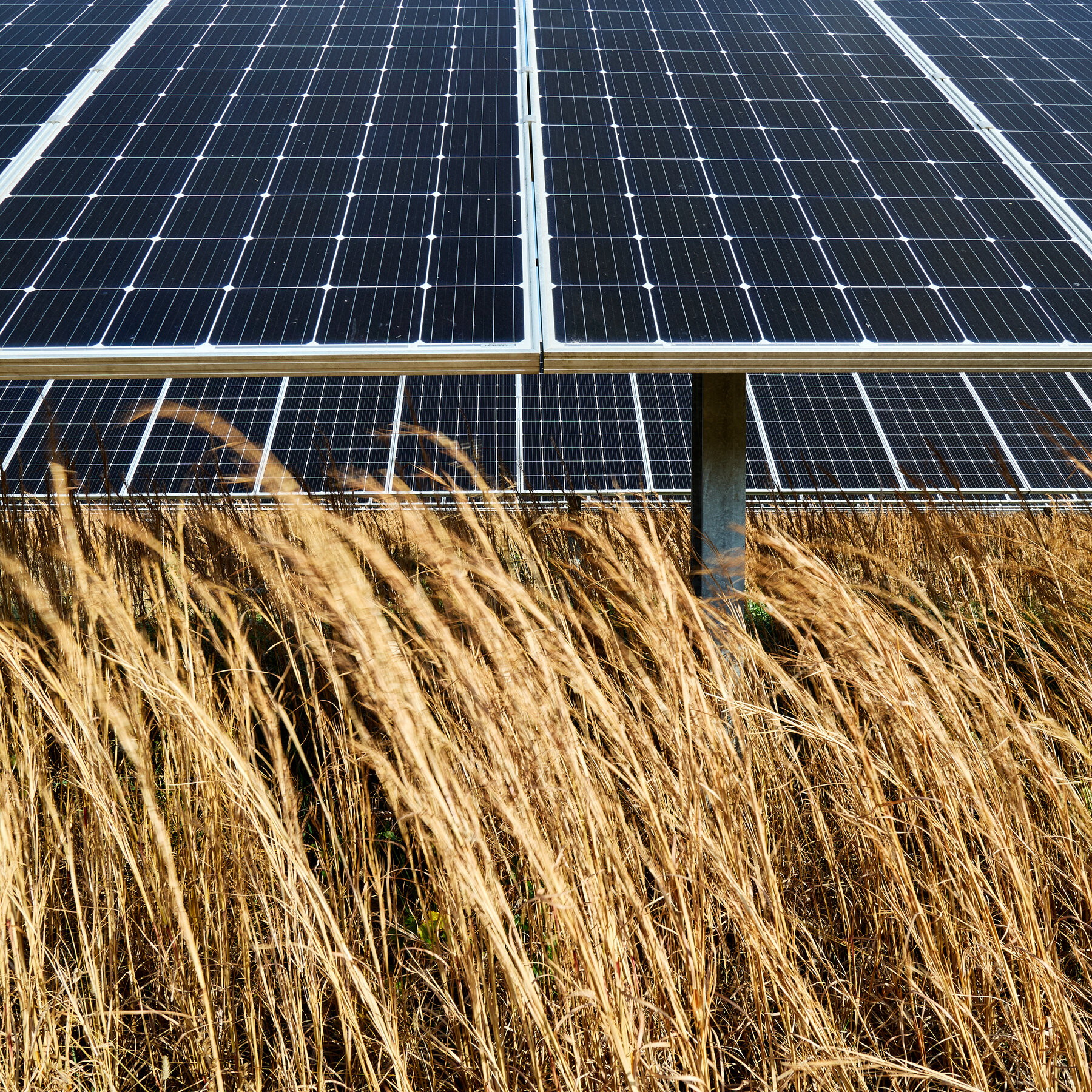 This Arkansas City Shows How to Slash Emissions and Save Money, Too