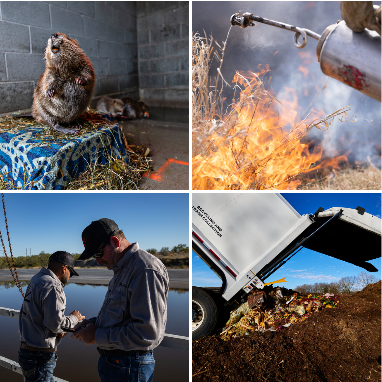 50 States, 50 Fixes: Climate Solutions Across America