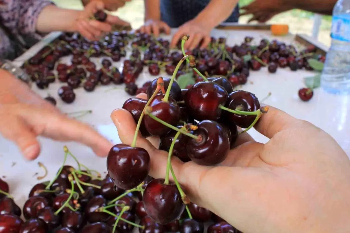 İlk Coğrafi İşaret Günü 15 Aralık’ta Okullarda Kutlanacak
