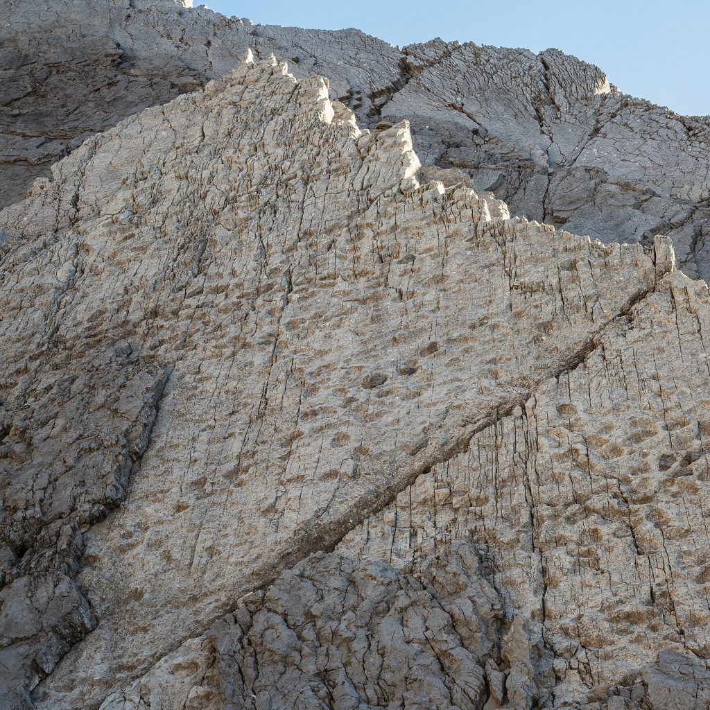 More Than 2,000 Dinosaur Footprints Discovered in the Italian Alps