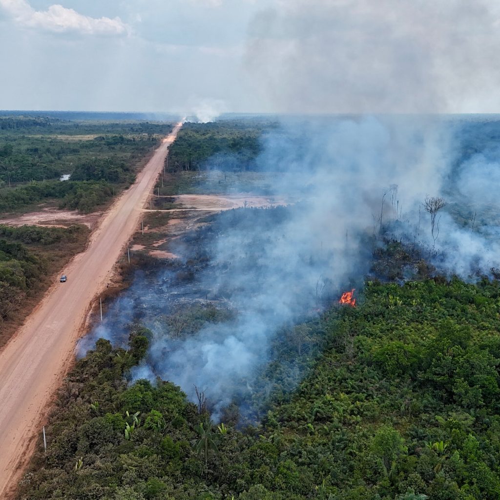 How Blocking Illegal “Ghost” Roads Could Protect Tropical Forests