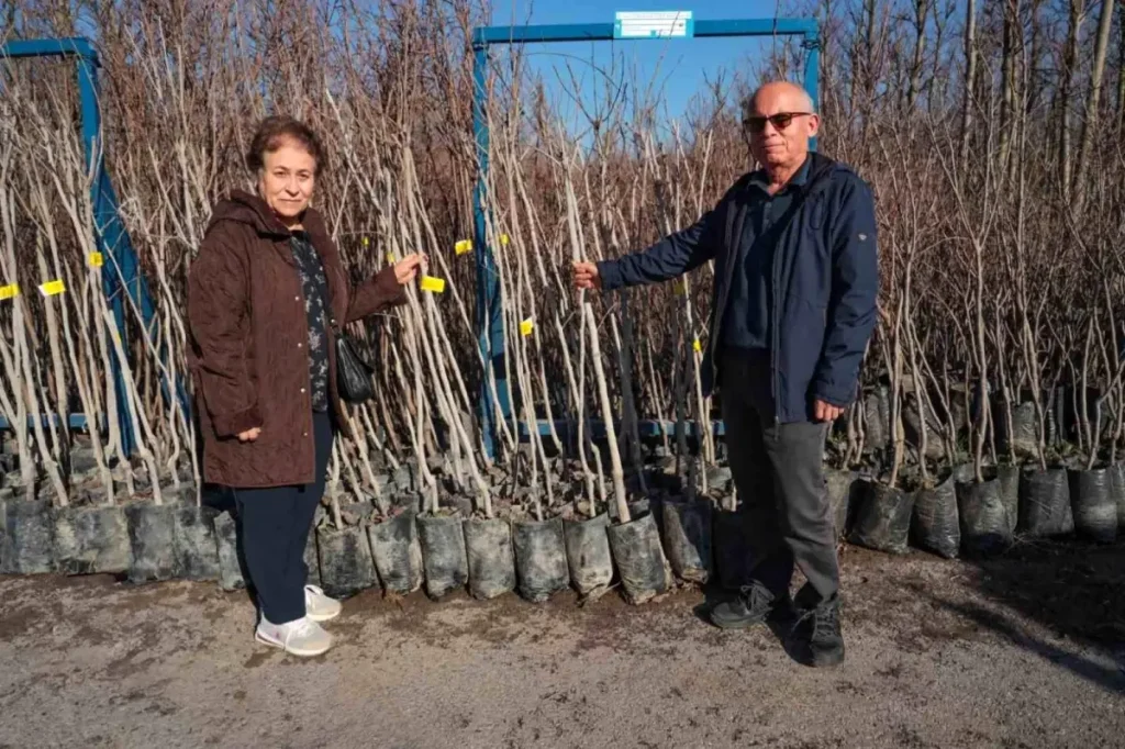 75 üreticiye 3 bin 600 Trabzon hurması fidanı dağıtıldı