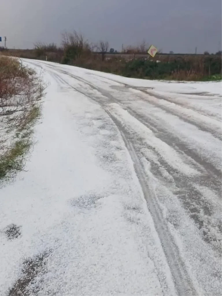 Adana’da Dolu Yağışı Tarımı Vurdu