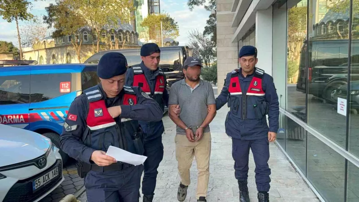 Samsun’da Ağaç Kesimi Trajedisi