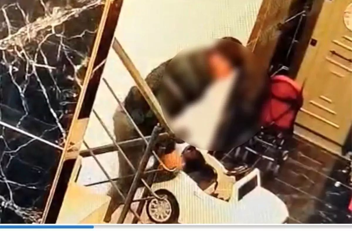 Mersin’de Hırsızlar Yakalandı