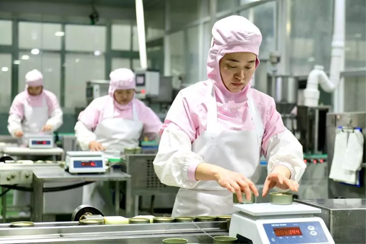 Caoxian Evcil Hayvan Ekonomisinde Büyüyor