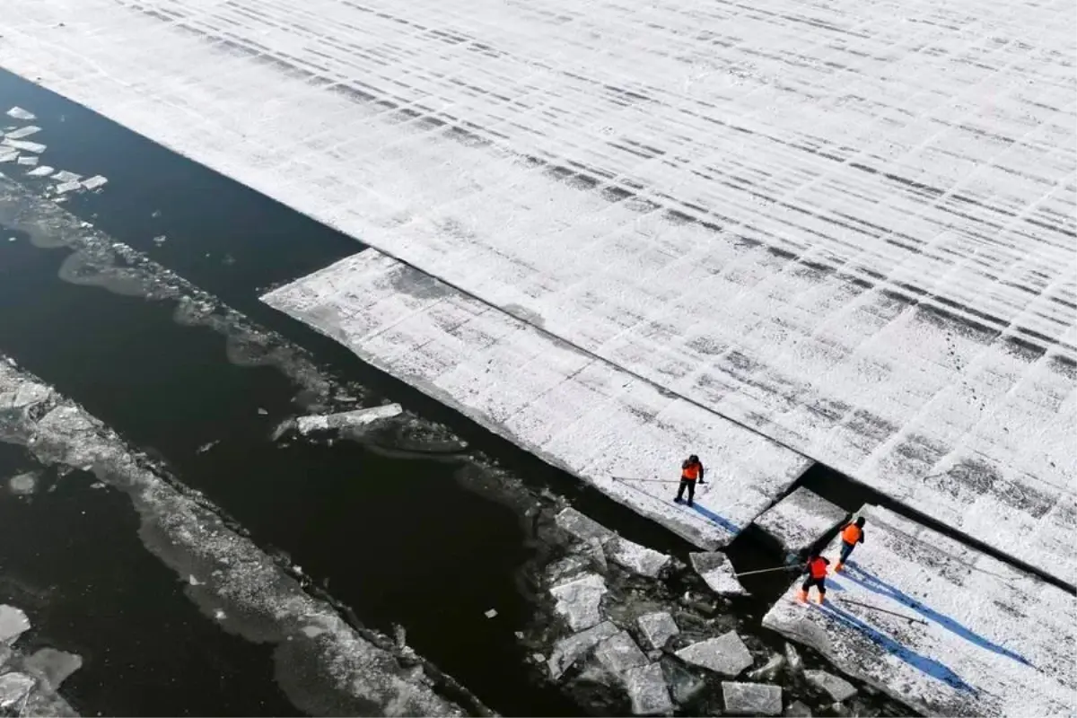 Harbin’de Buz Toplama Çalışmaları Şehrin Kış Mirasını Şekillendiriyor