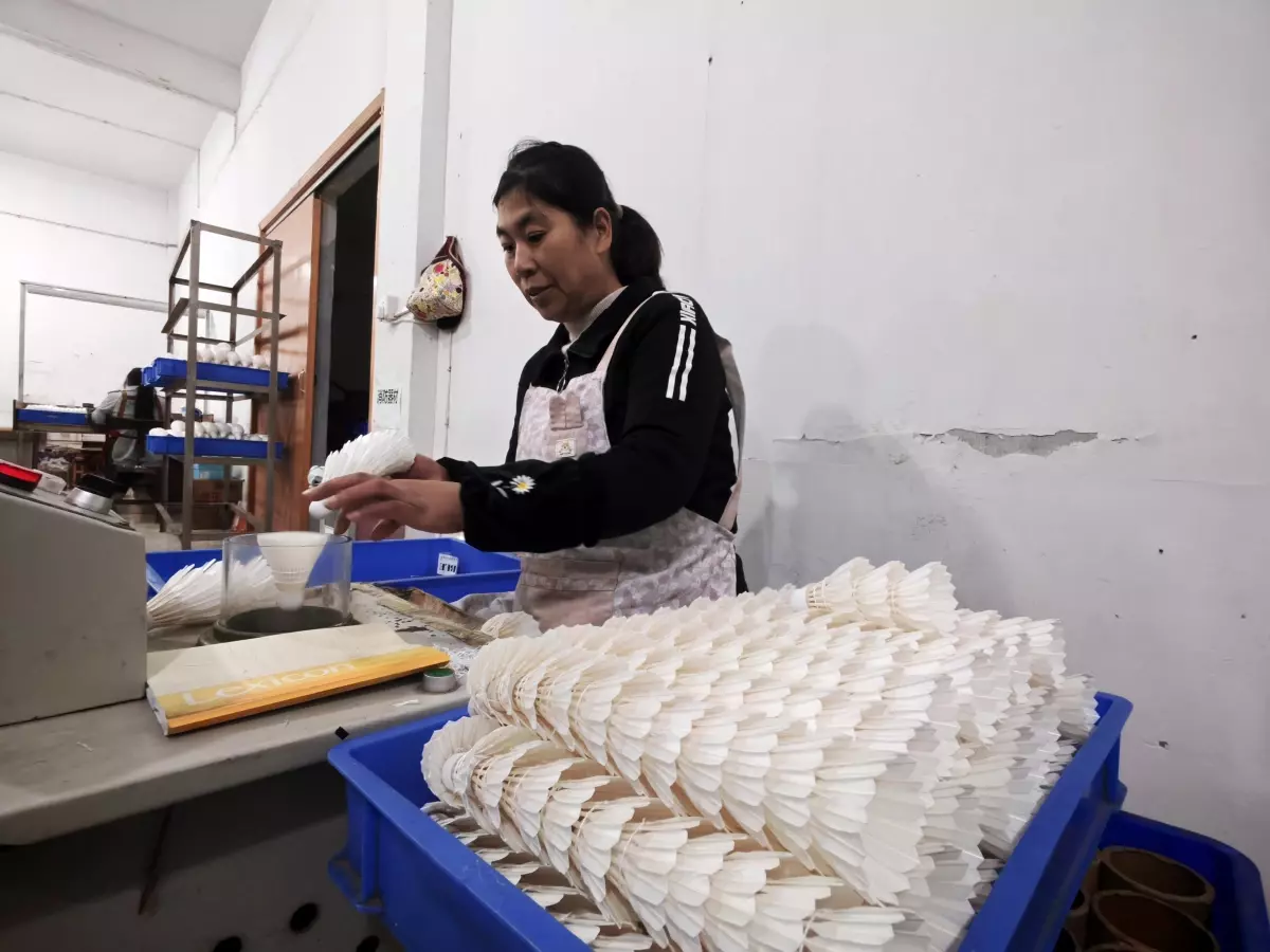 Lu’an Kaz Tüyü ile Küresel Tedarikçi Oldu