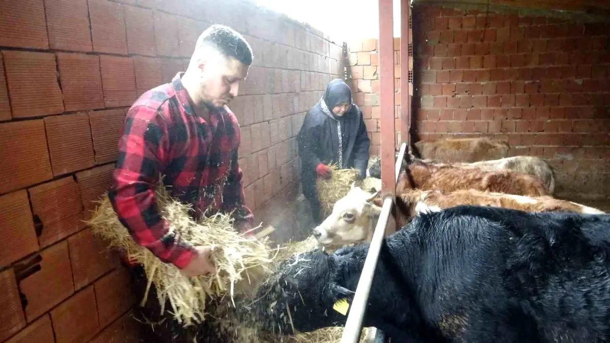 Almanya’dan Köyüne Dönen Girişimci