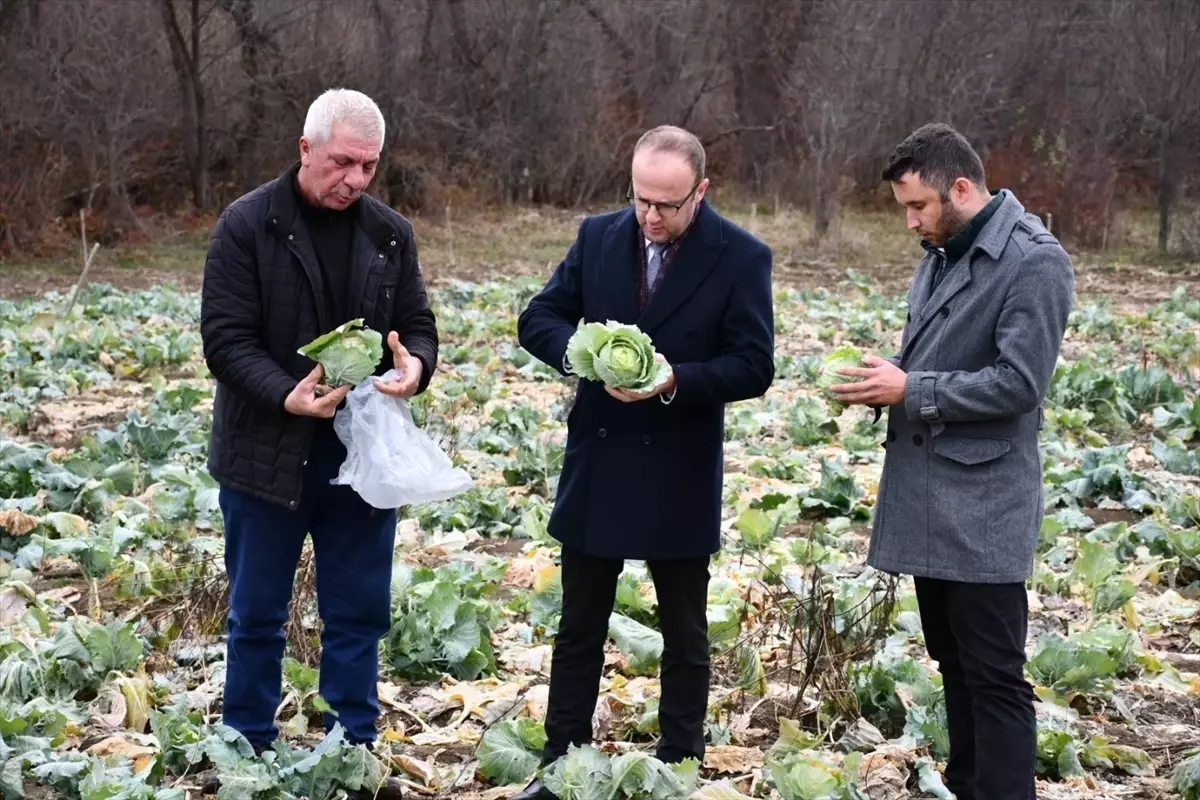 Kaymakam Azman, Pancarı Tescil Ediyor