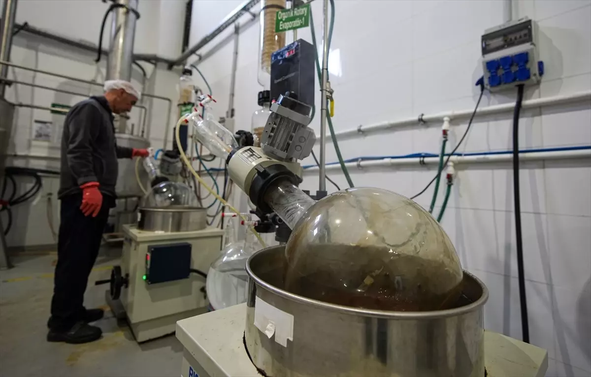 Kozmetikte Anadolu’nun Geleneksel Tarifleri Ön Planda