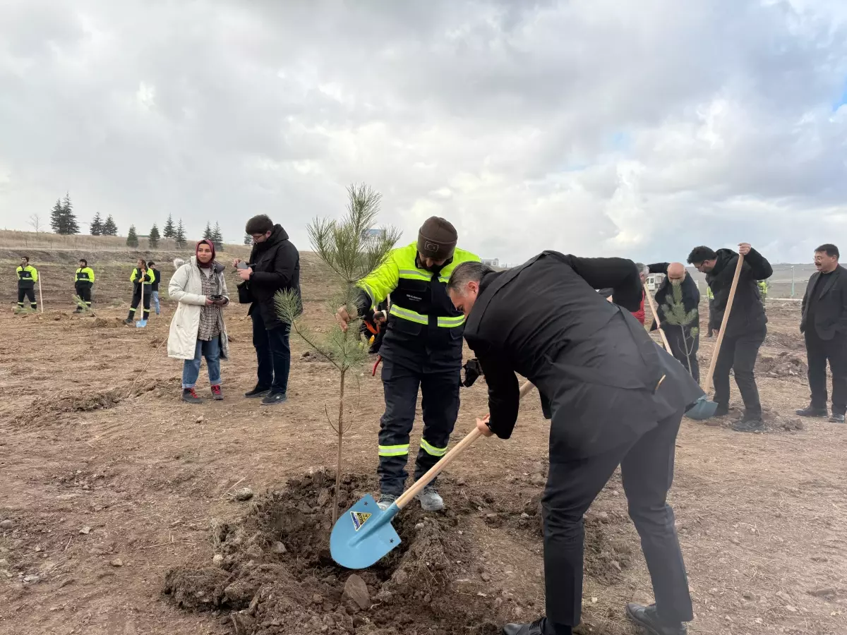 AK Parti, Türk Dünyası Hatıra Ormanı’nda 2 040 Fidan Dikerek Çevre ve Kültür Vizyonunu Güçlendirdi
