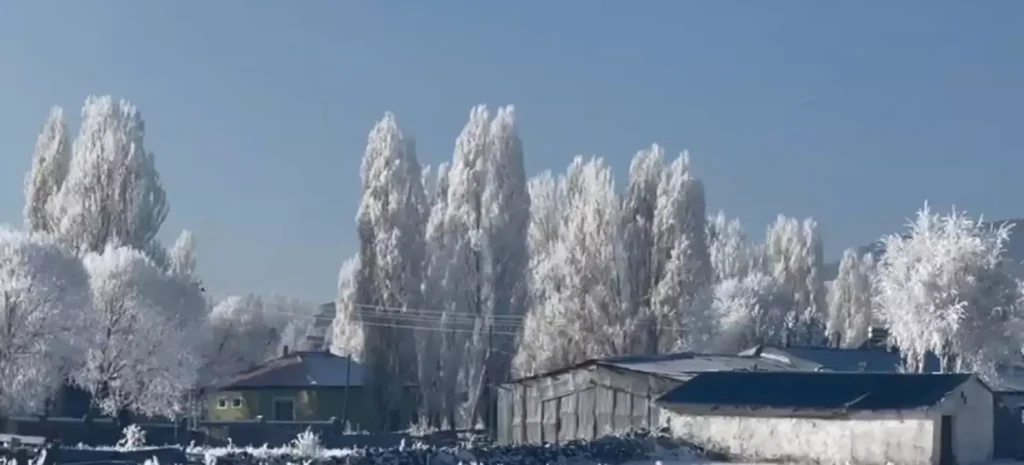 Türkiye’nin En Soğuk Yeri! Ardahan Göle Buzdan Şehre Dönüştü