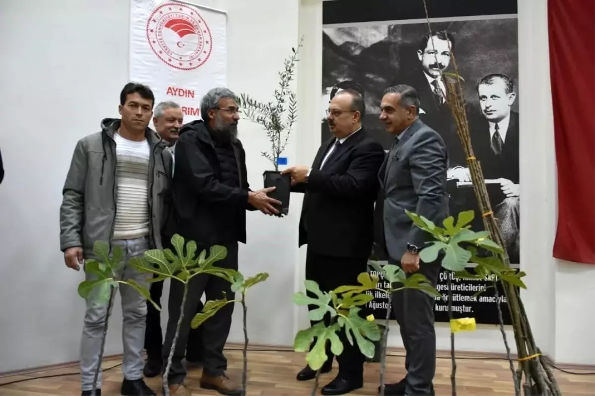 Aydın’da 74 Bin 90 Fidan Dağıtımı Gerçekleşti