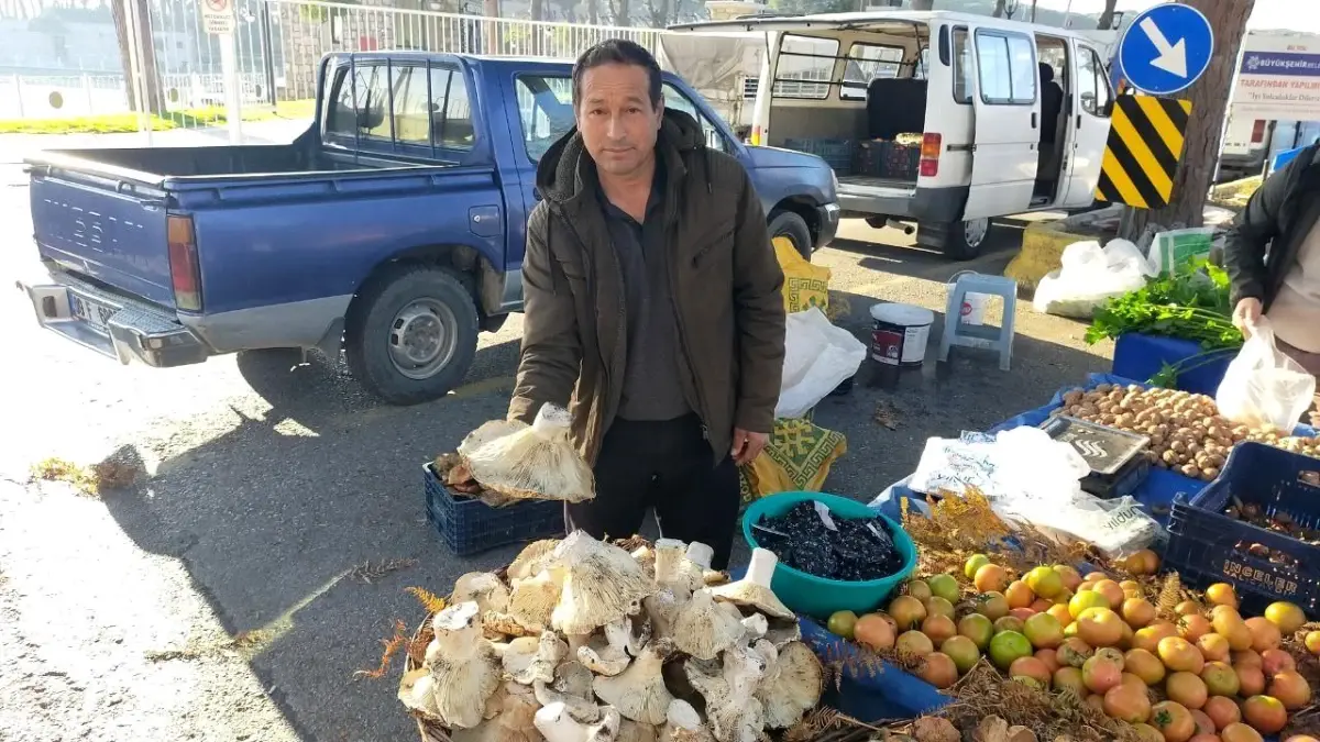 Dev Mantarlar Aydın’da İlgi Görüyor