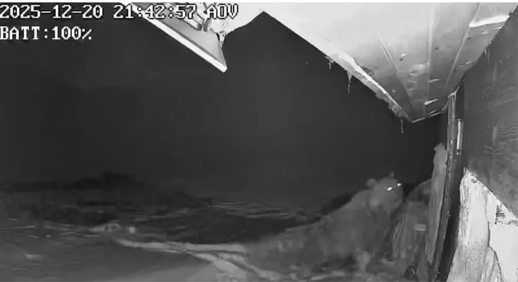 Ayılar Kış Uykusuna Yatmadı: Doğu Karadeniz’de Yayla Evlerine Saldırı Şiddetleniyor