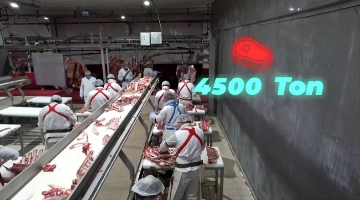 Elazığ’da Tarımsal Destek Patlaması: 4.500 Ton Kırmızı Et ve 1.250 Yeni İş