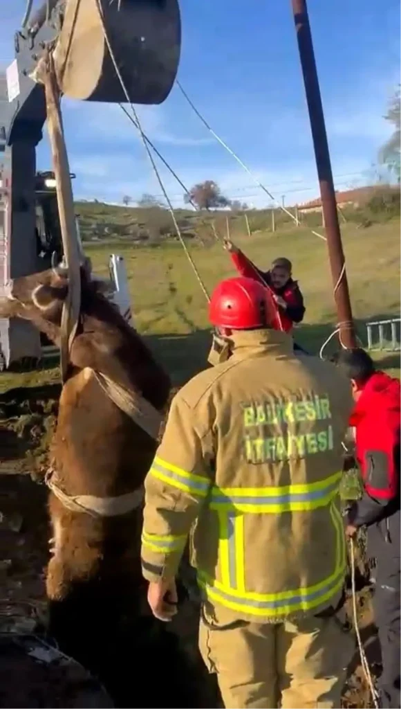 Balıkesir’de kuyuya düşen inek kurtarıldı