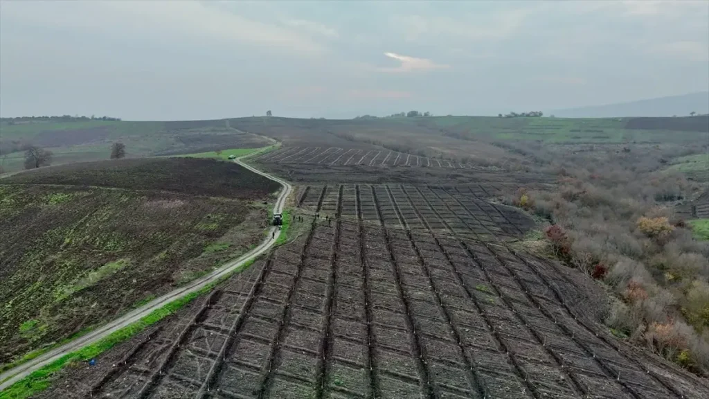 Manyas’ta Badem Fidanı Desteği