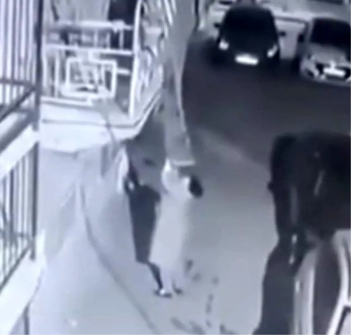 İzmir’de Halı Hırsızlığı