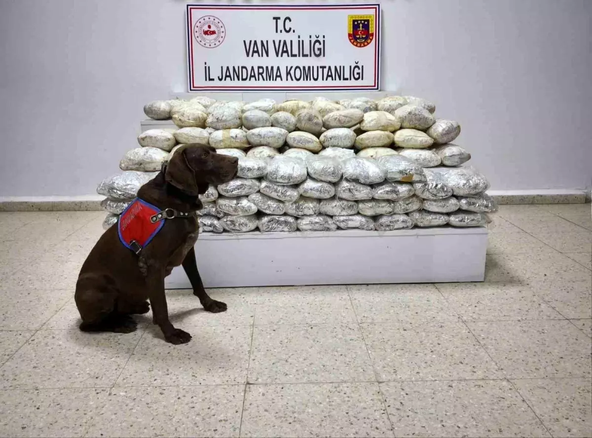 Başkale’de 60 Kilogram Skunk Maddesi Ele Geçirildi